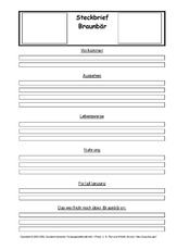 Braunbär-Steckbriefvorlage.pdf